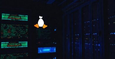Servidor Linux técnico
