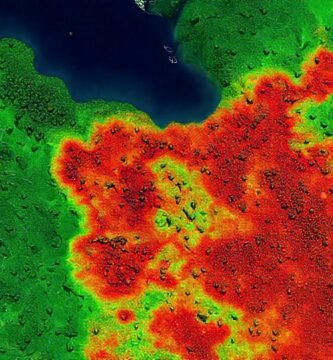 IA visualiza la restauración forestal prometedora