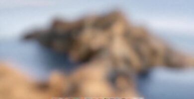 Un escritorio macOS minimalista promueve la calma